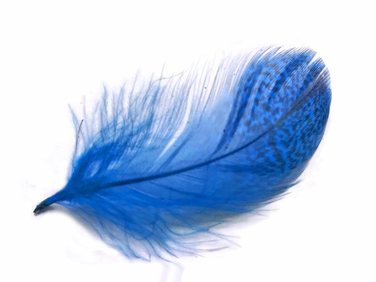 Fly Tying Material. Small Feathers Craft. Color, Summer Duck