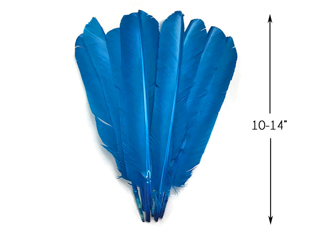 1/4 lb Turquoise Blue Turkey Pointers Primary Wing Quills