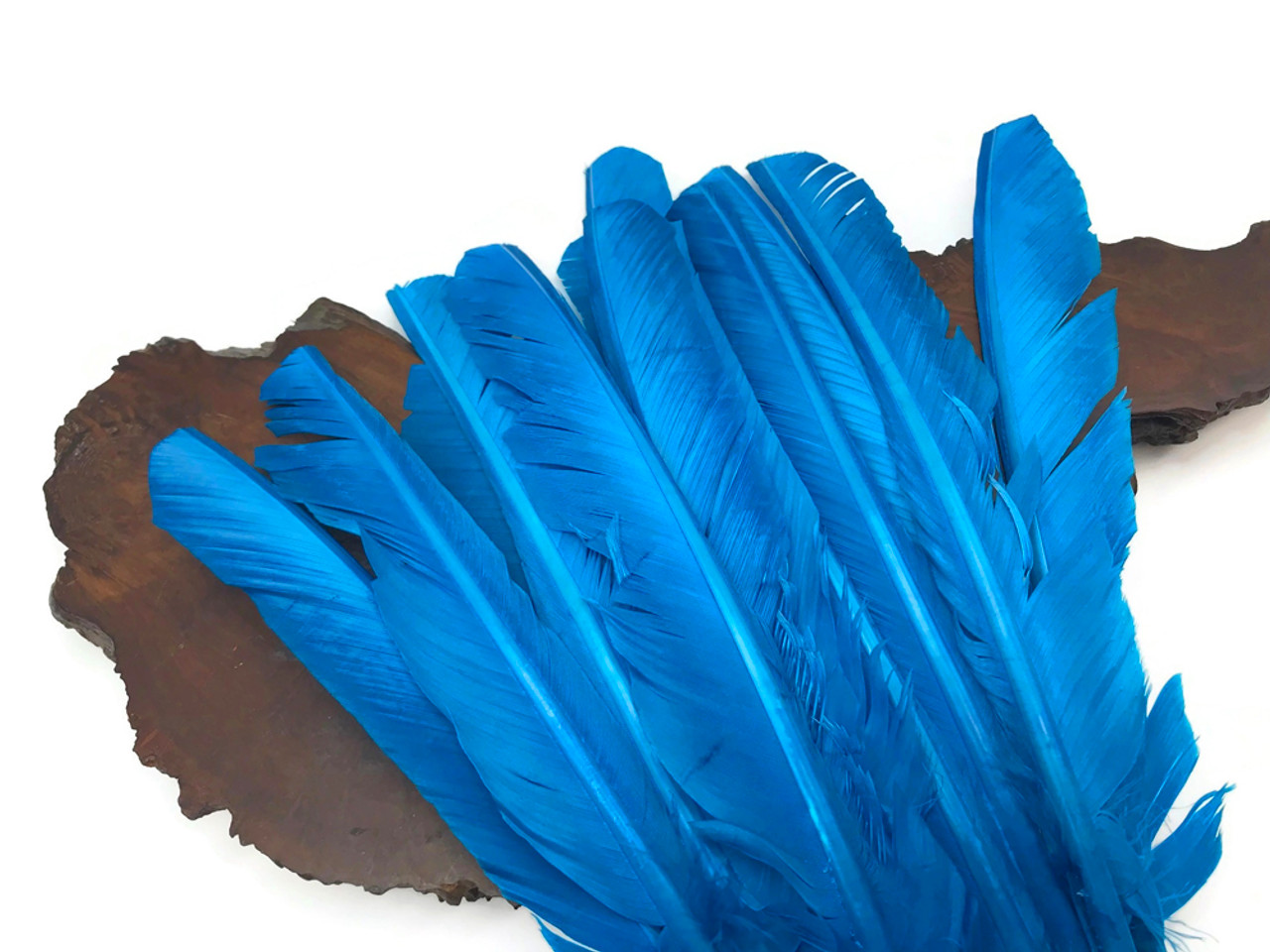 1/4 Lb - White Turkey Pointers Primary Wing Quill Large Wholesale Feathers  Bulk