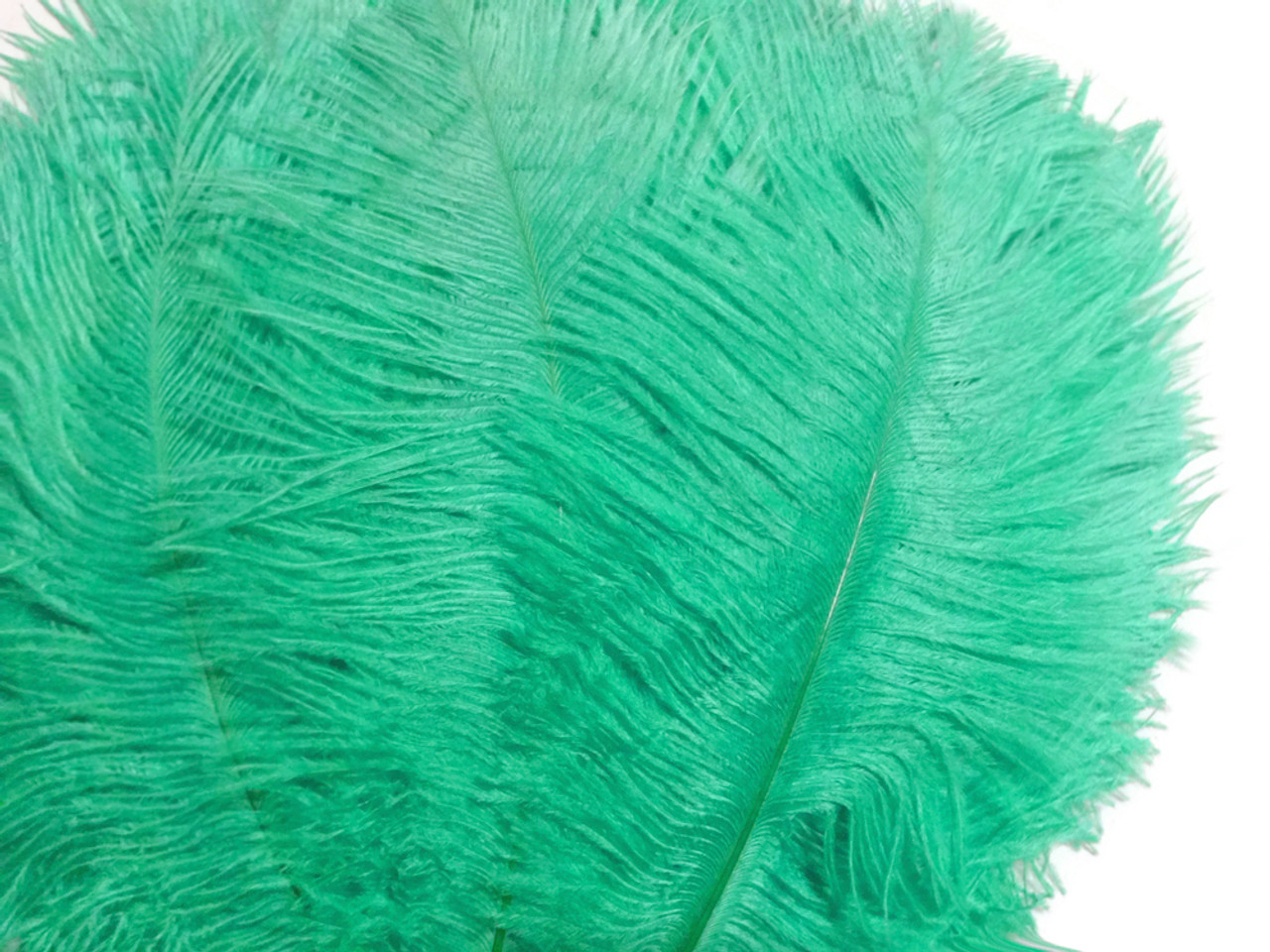 1/2 lb. - 14-17 Light Green Ostrich Large Body Drab Wholesale Feathers  (Bulk)