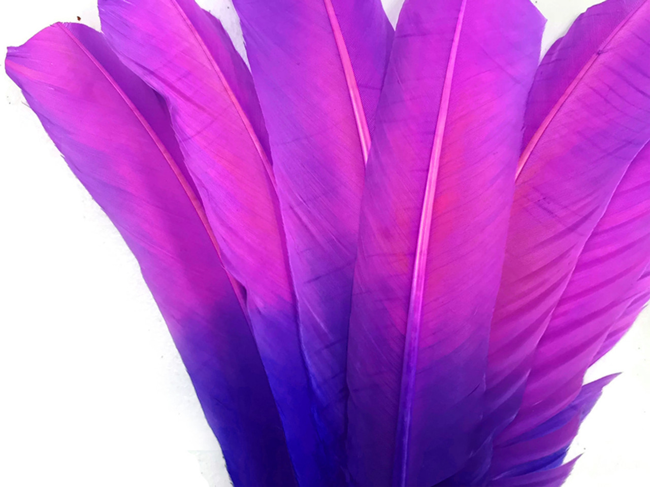 6-Piece Pink and Purple Turkey Quill Feathers