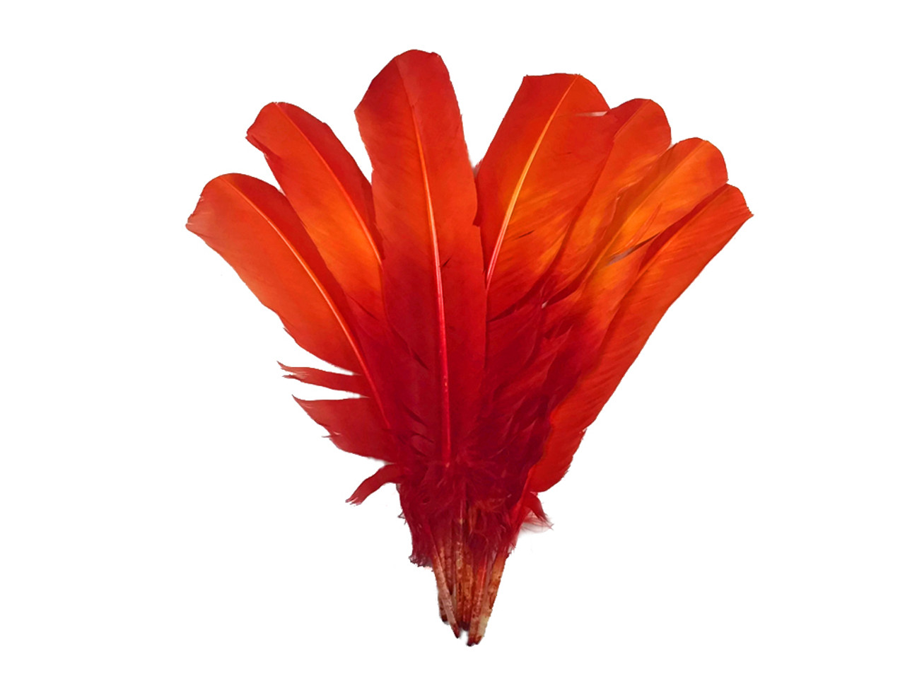 1/4 Lb - Fiery Red Ombre Turkey Tom Rounds Secondary Wing Quill Wholesale  Feathers (Bulk)