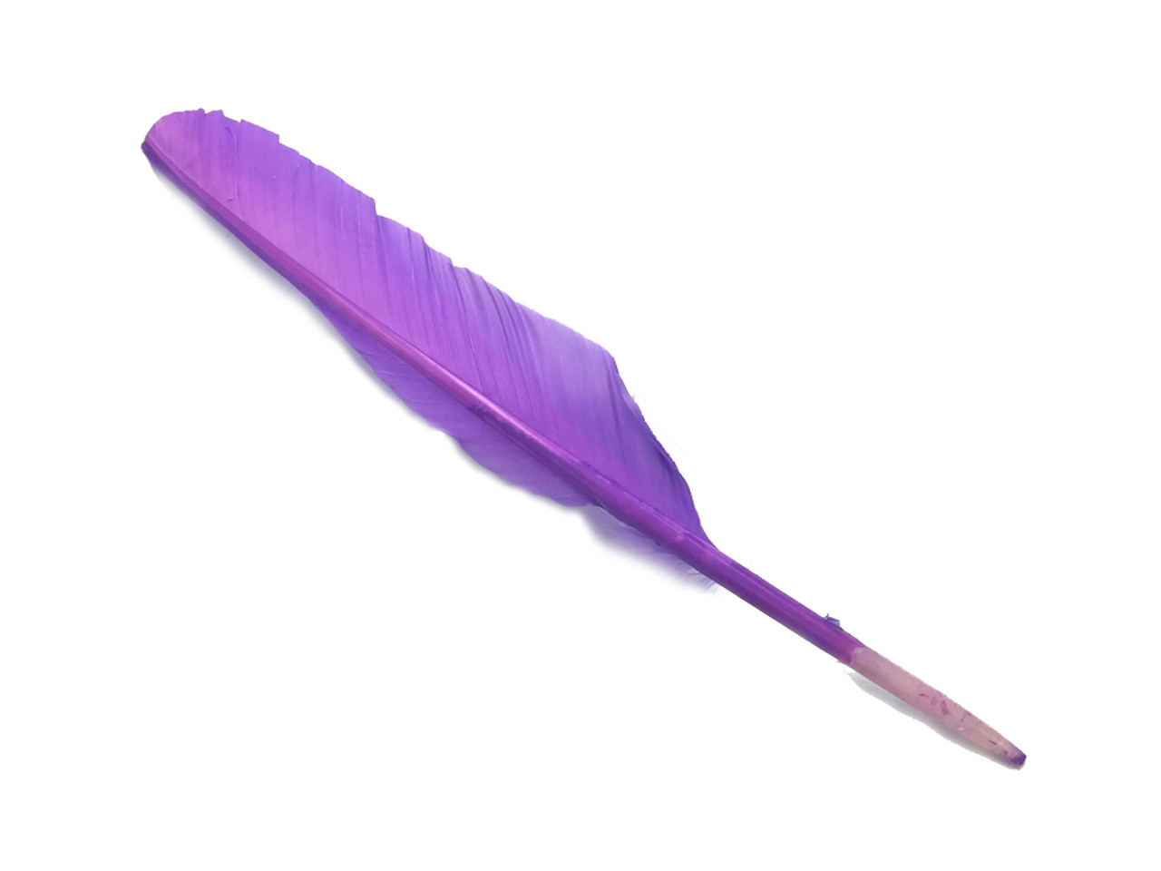 6-Piece Pink and Purple Turkey Quill Feathers