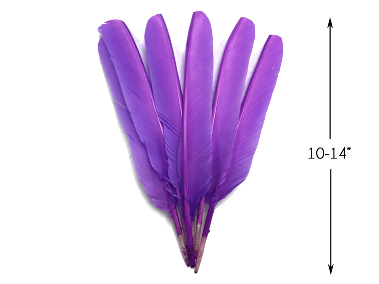 6-Piece Pink and Purple Turkey Quill Feathers