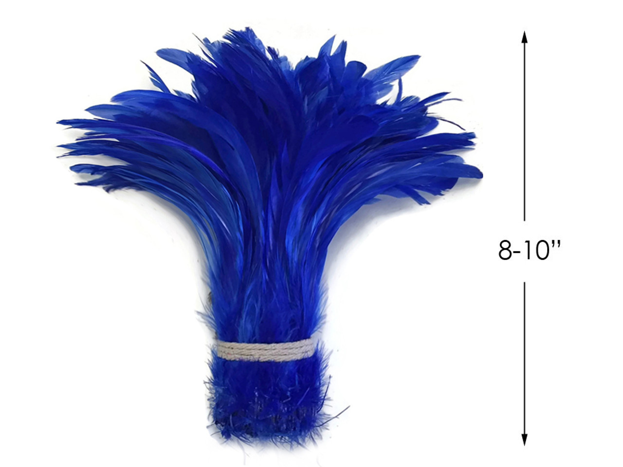 Royal Blue Rooster Coque Tail Feathers