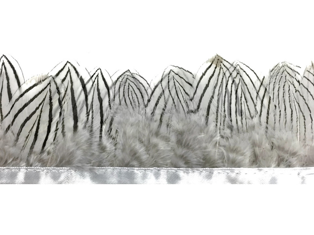 1/4 lb Natural Silver Pheasant Feathers