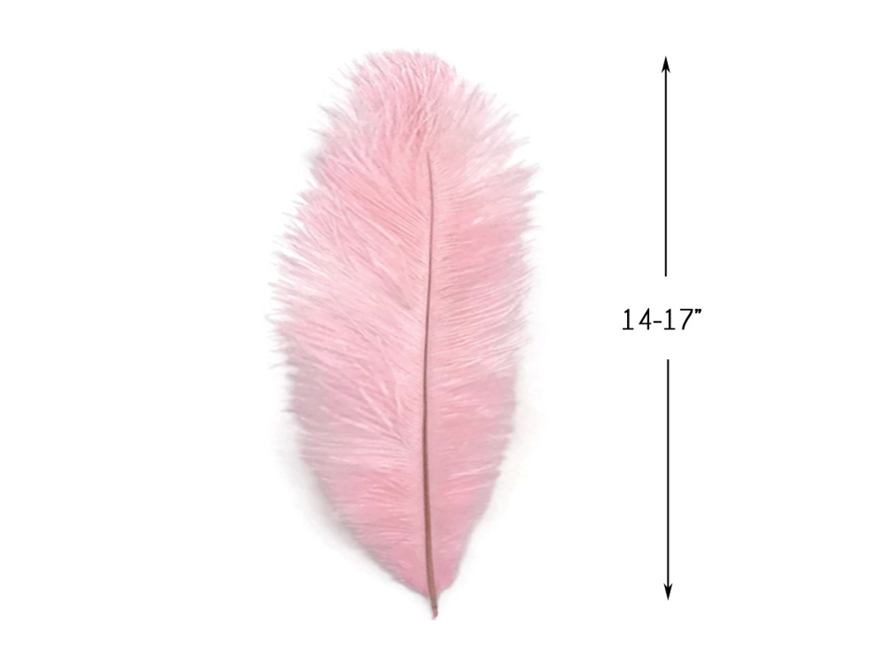 10 Pieces - 14-17 Baby Pink Ostrich Dyed Drab Body Feathers