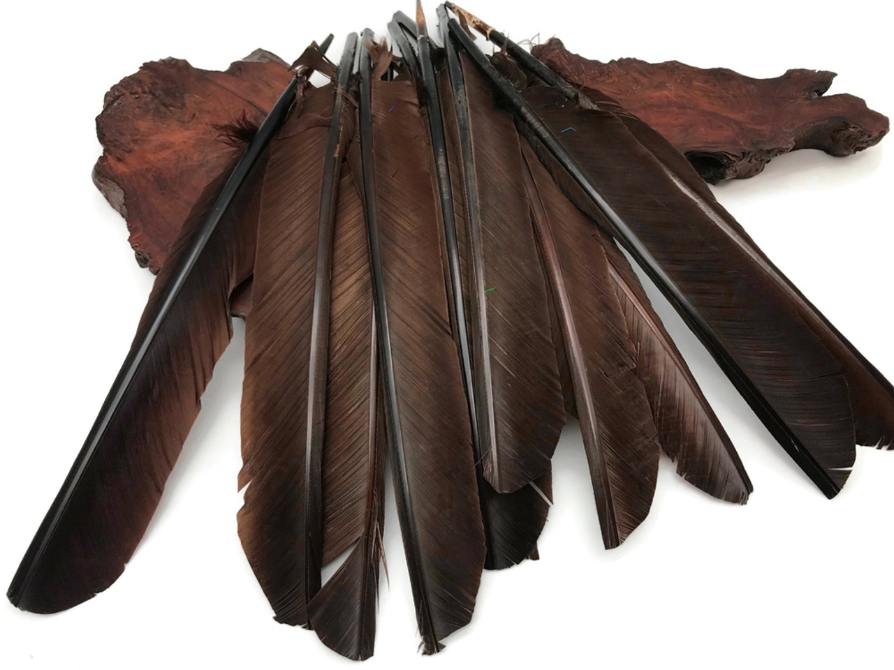 6 Pieces Brown Turkey Pointers Primary Wing Quills