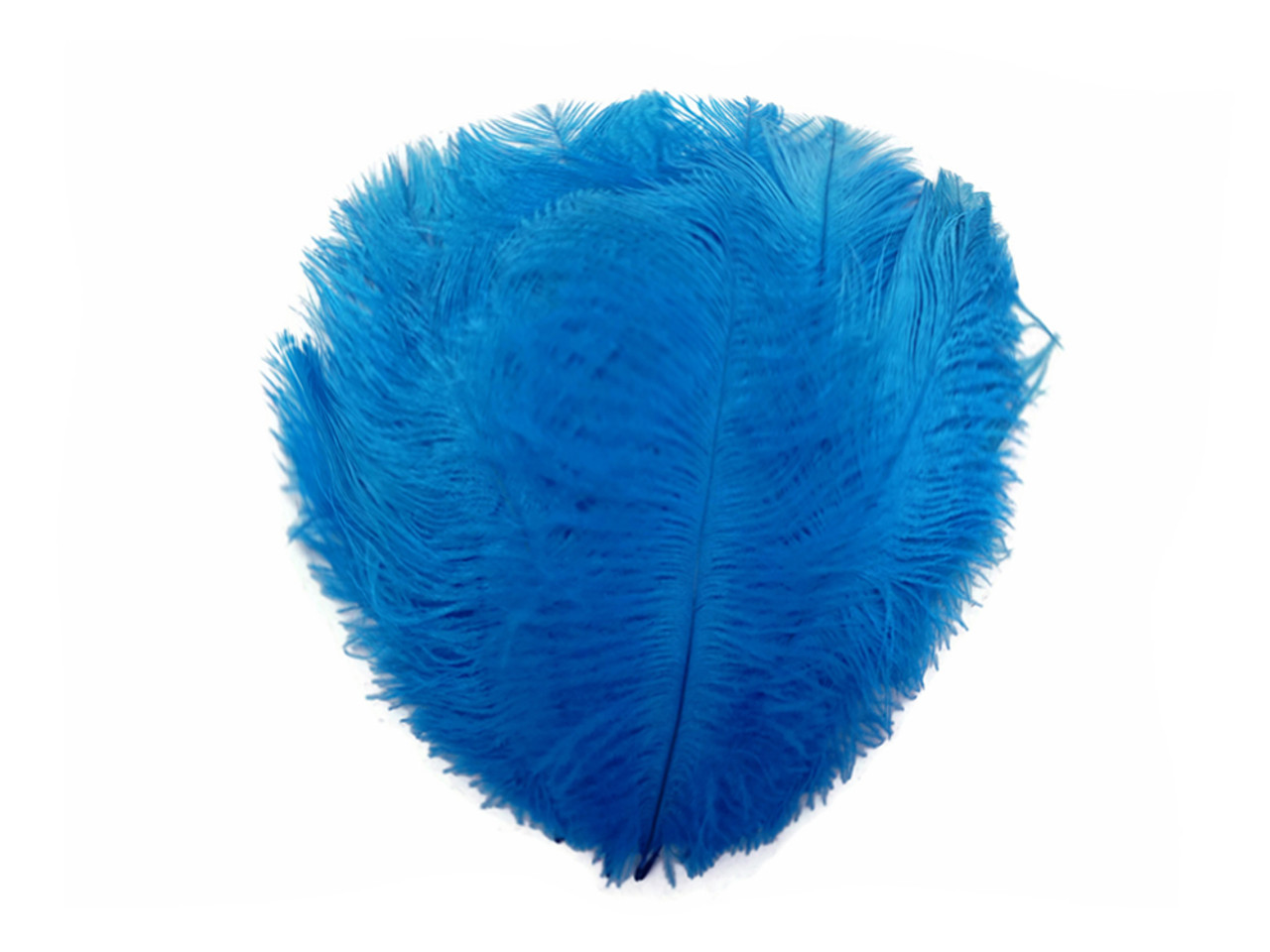 Mini Ostrich Feathers 1 Pack Turquoise Blue Ostrich Small 