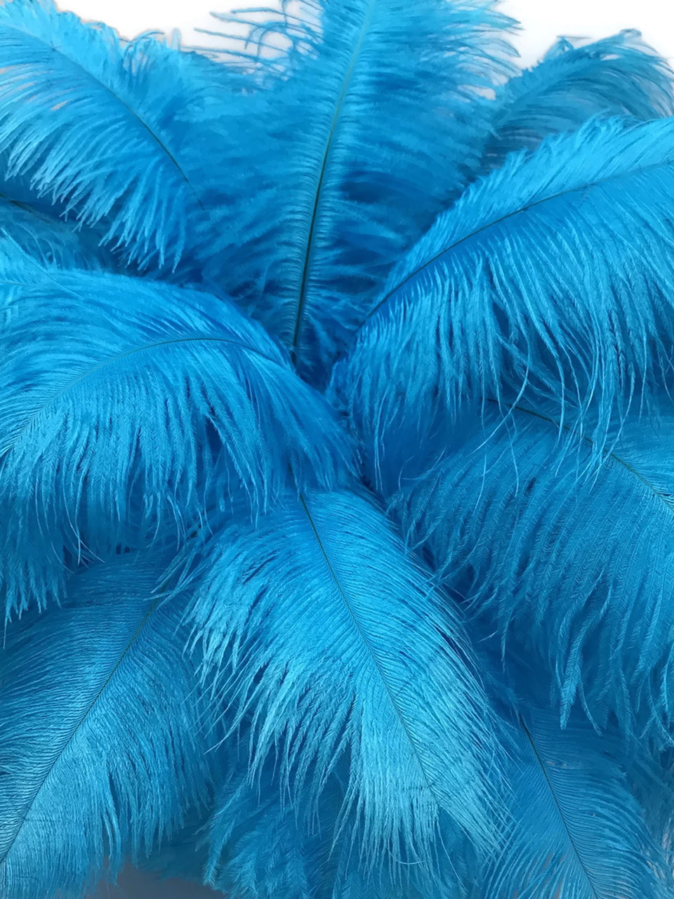 PREMIUM - Raging Blue Mutant Ostrich/Gator – Bomberseat