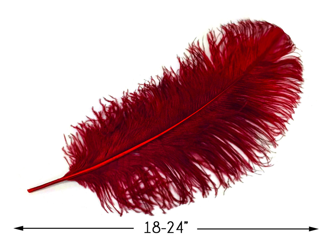 1/2lb - 18- 24 red Large Wing Plumes Wholesale Feather (bulk) SWA