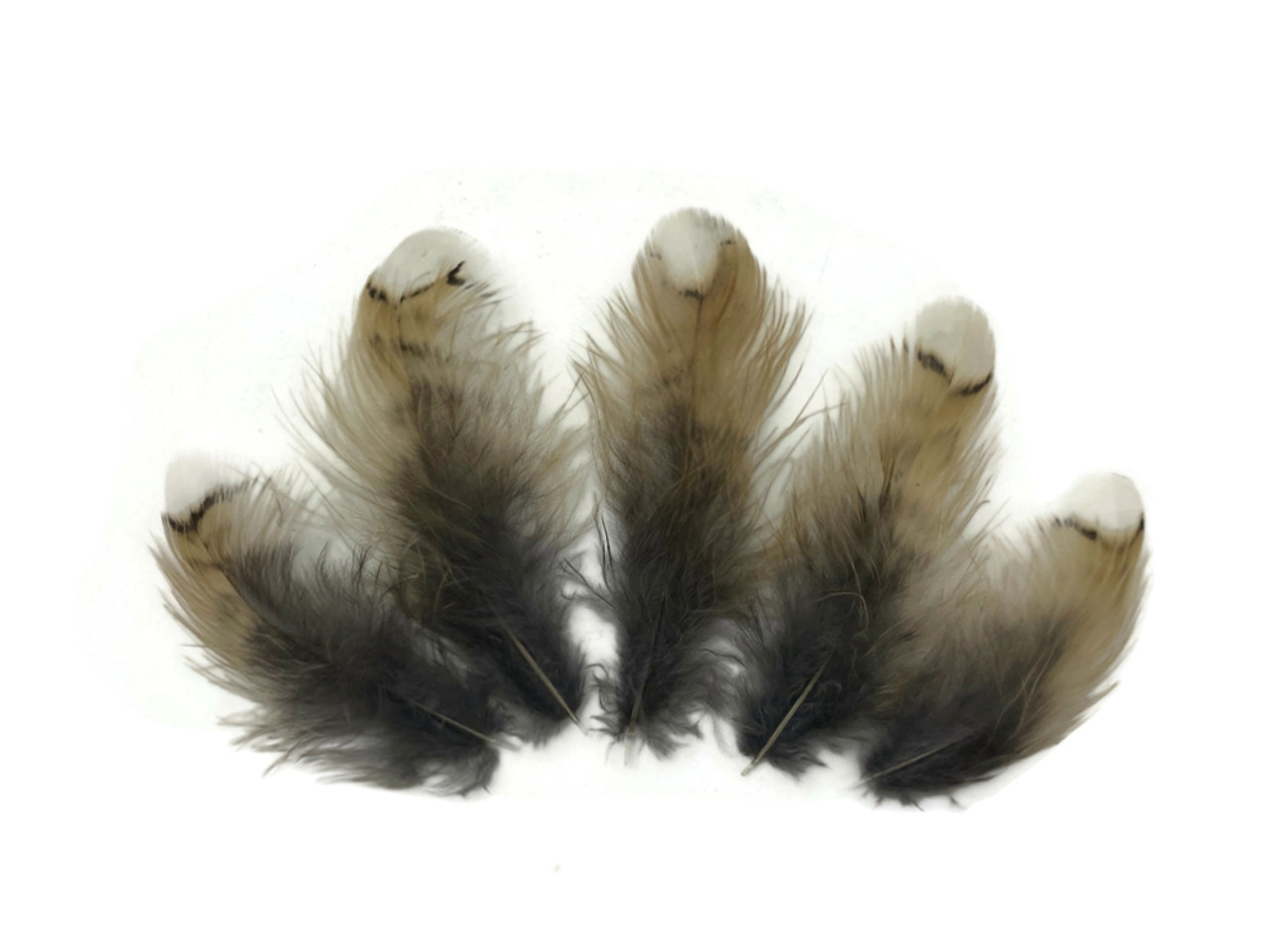 Collection 64 - Mix Random Feather Sample Pack (bulk)