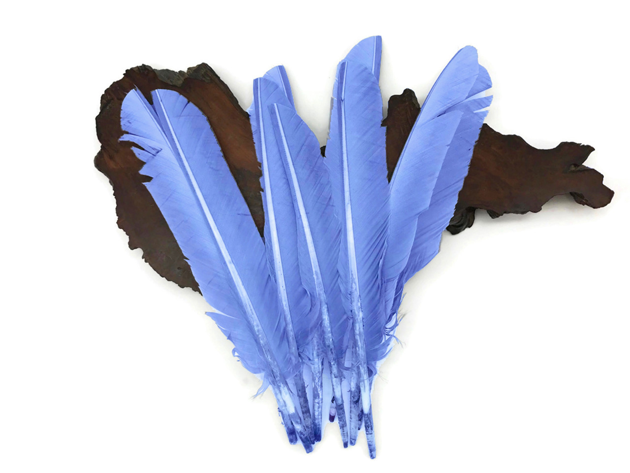 6 Pieces navy Blue Turkey Pointers Primary Wing Quills