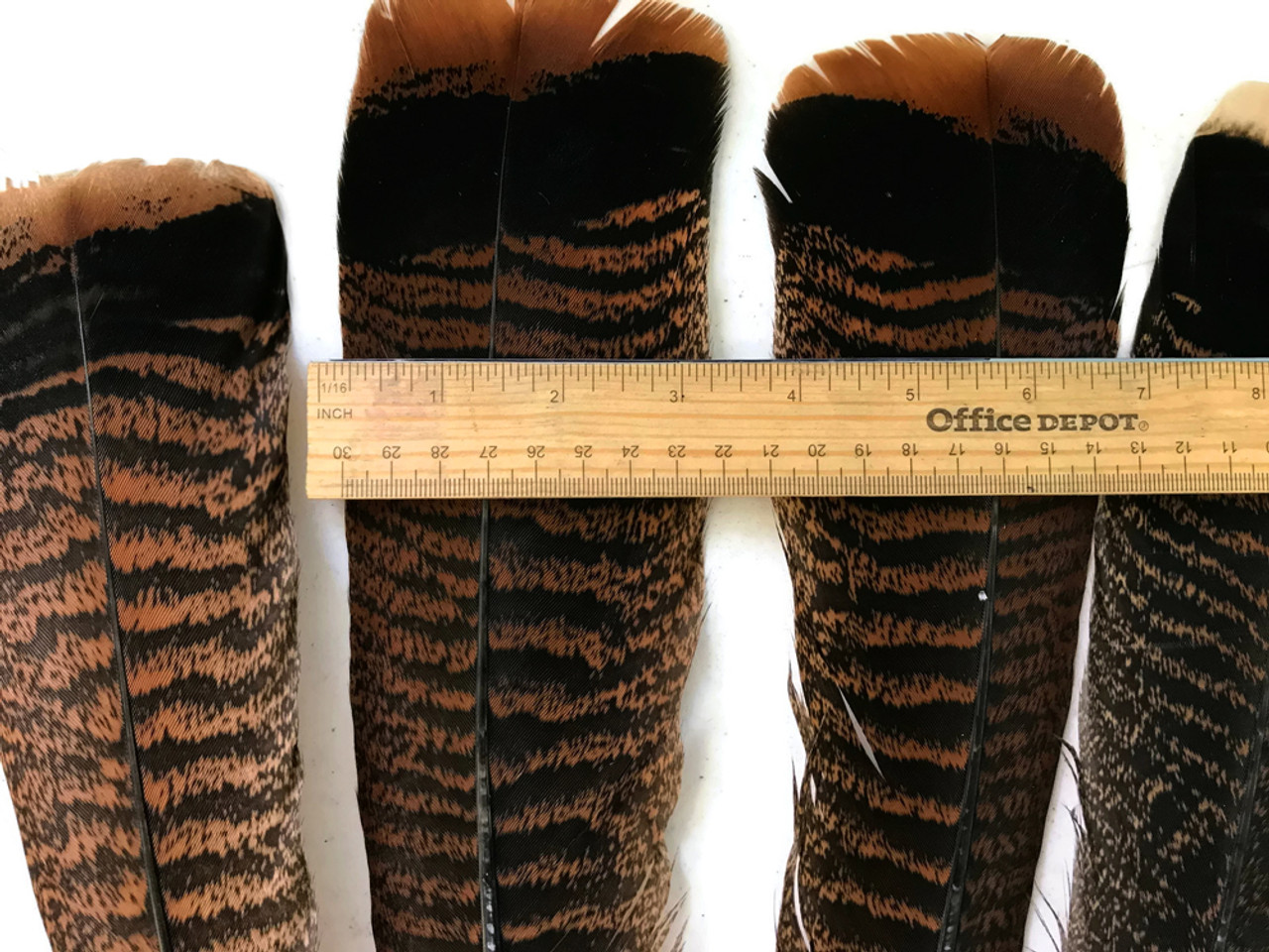 1/4 lb Natural Black and Brown Wild Turkey Tail Feathers