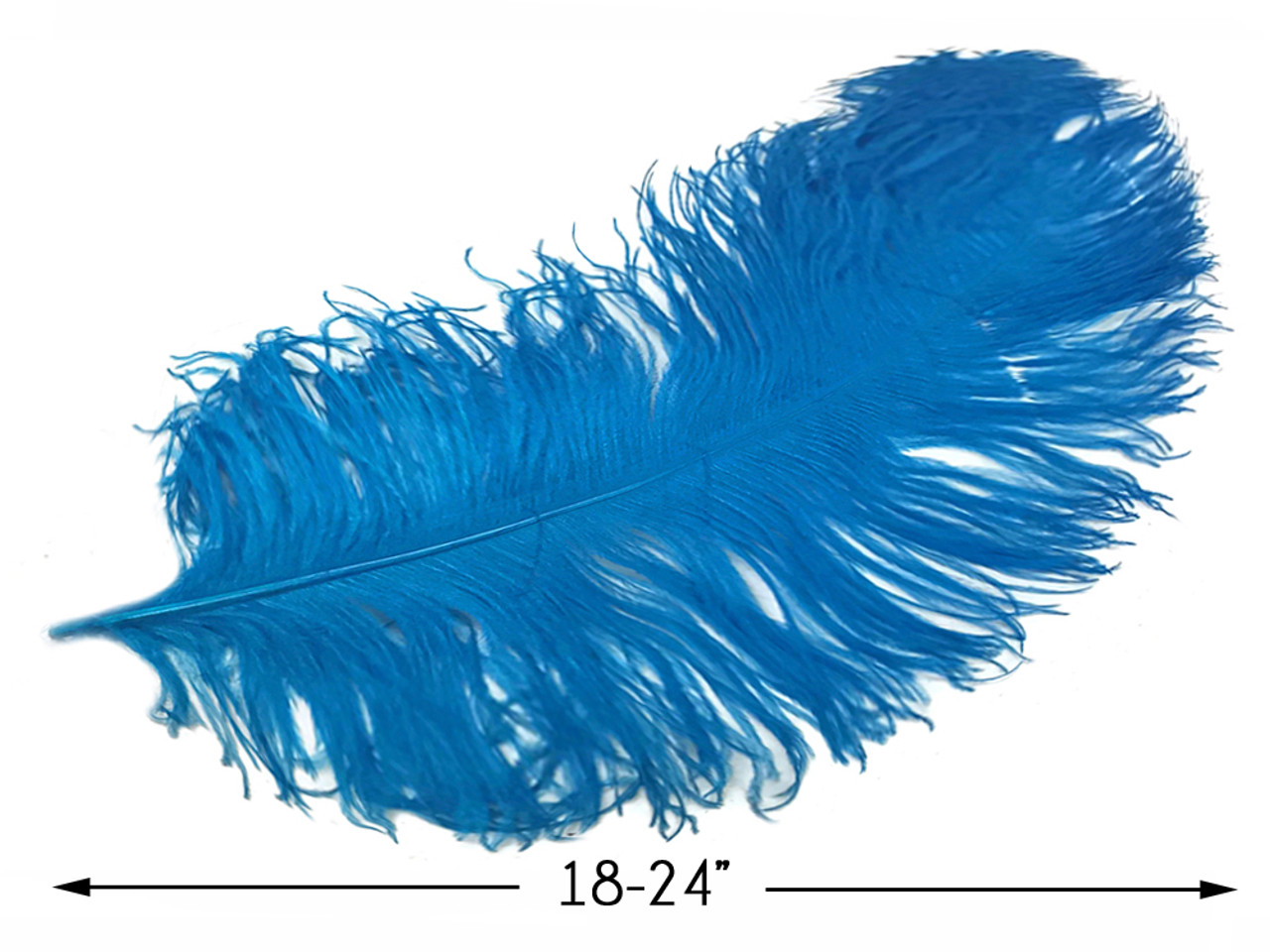 Large Ostrich Plumes, Feather Plume