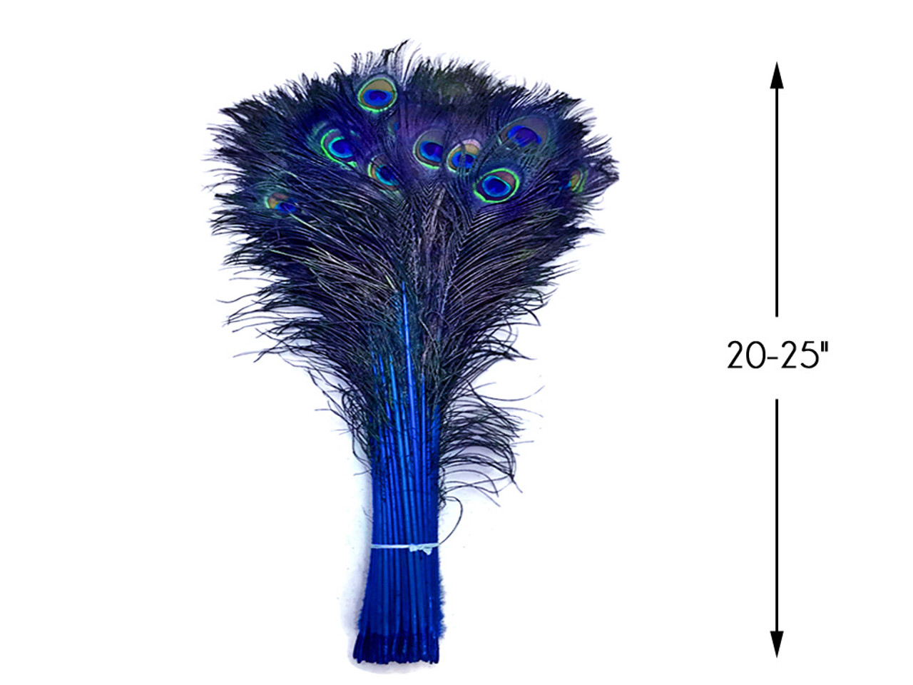 Peacock Feathers 25-30cm 3 Pk — Fred Aldous