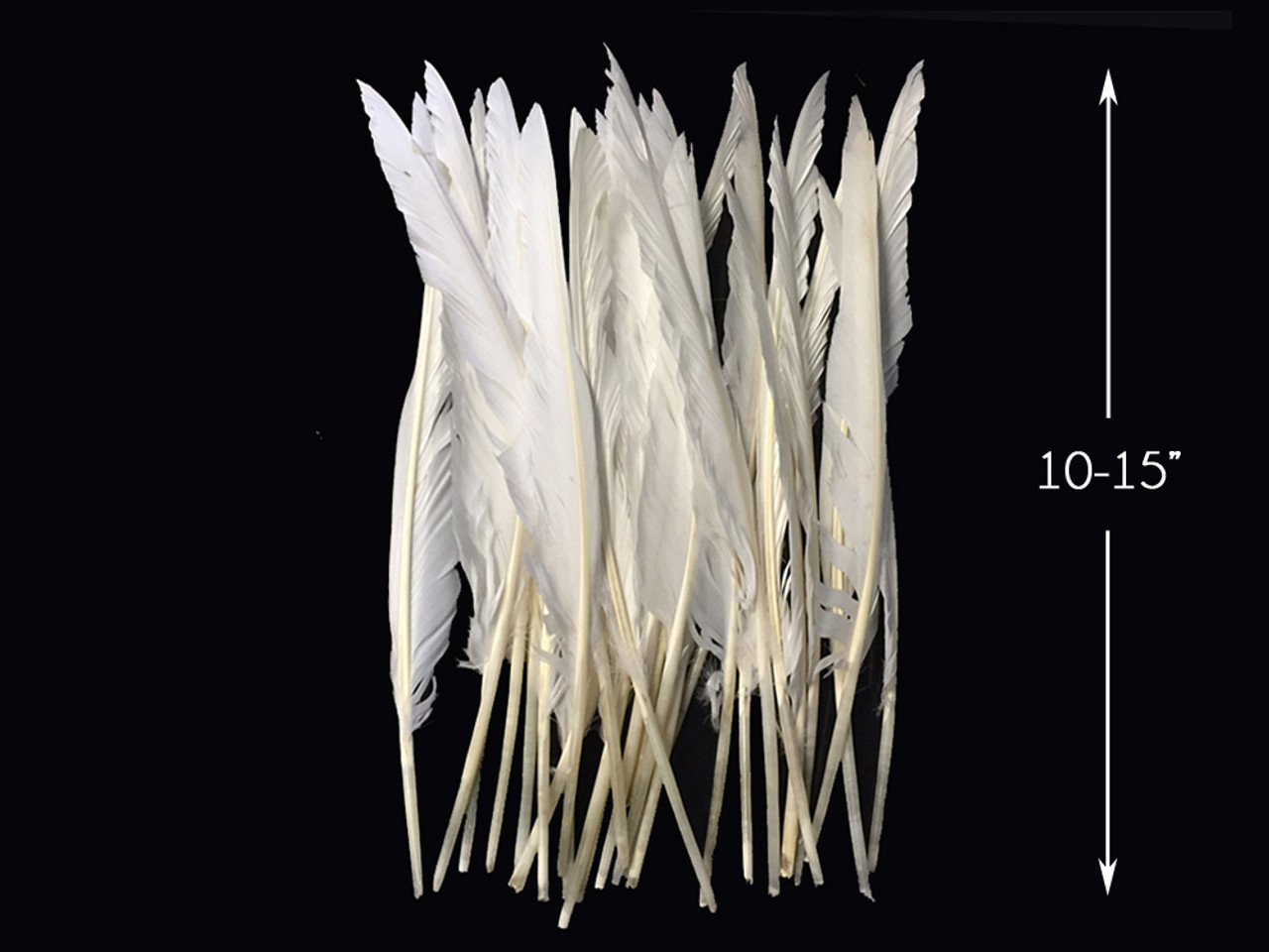 10 Pieces - Natural White Goose Pointers Long Primaries Wing Feathers