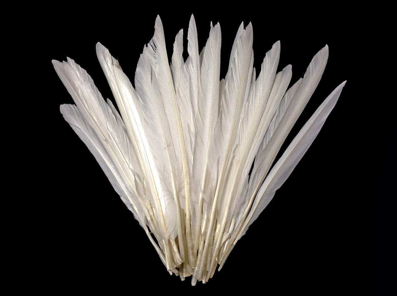 ZZ-TPN-FEATHER Natural Bleached White Goose Feathers - NATURAL BIRD TOY  PARTS