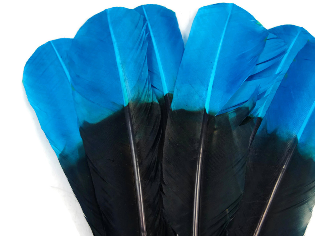 6 Pieces Turquoise Blue Turkey Pointers Primary Wing Quills