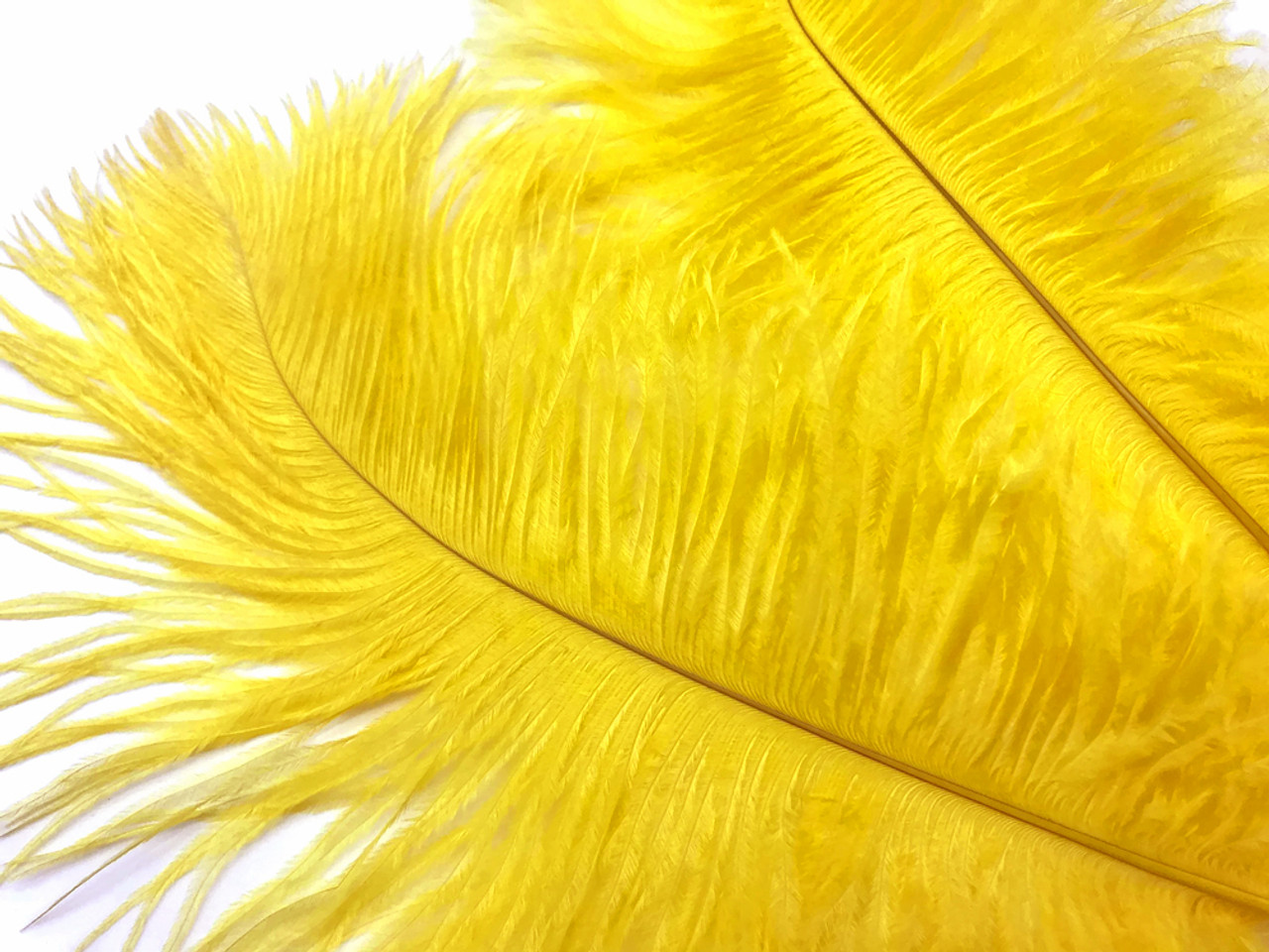 1/2 Lb. - 19-24 Yellow Ostrich Extra Long Drab Wholesale Feathers (Bulk)