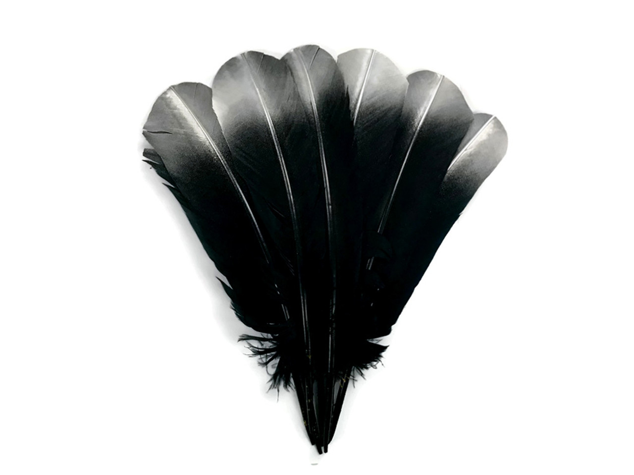 Eagle Plumes and Fluffs  Eagle, Feather art, Hair pieces