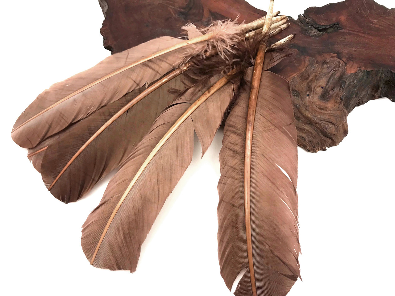 1/4 lb. - Light Brown Turkey Tom Rounds Secondary Wing Quill Wholesale Feathers (Bulk)