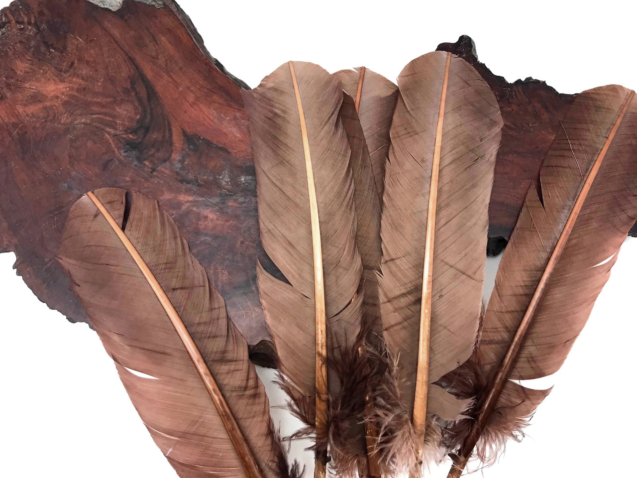 1/4 lb White Wing Feathers, Turkey Quills