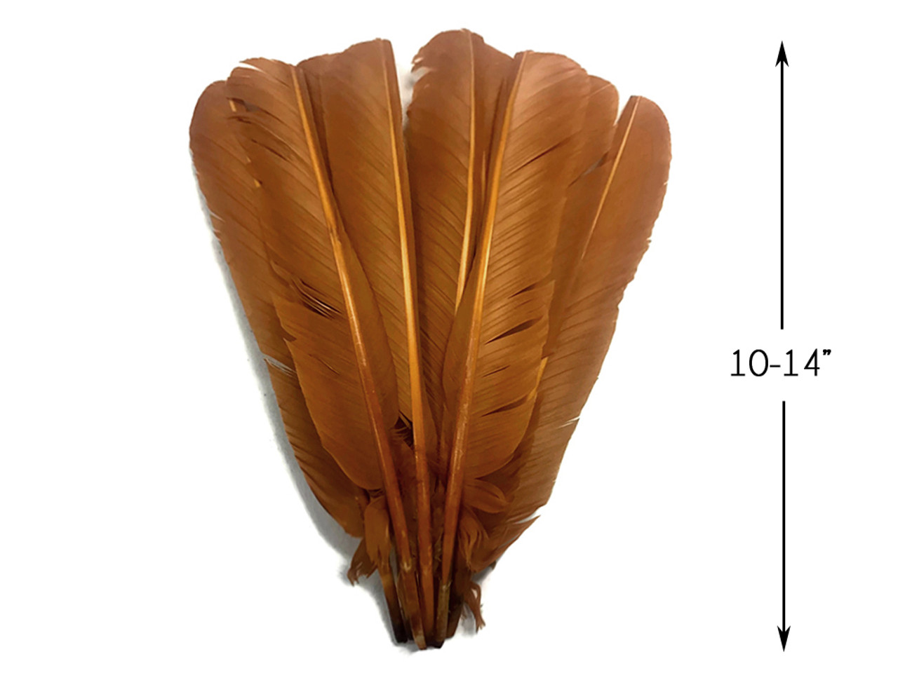 Pheasant Wing Quill Feathers Beige - Feathergirl