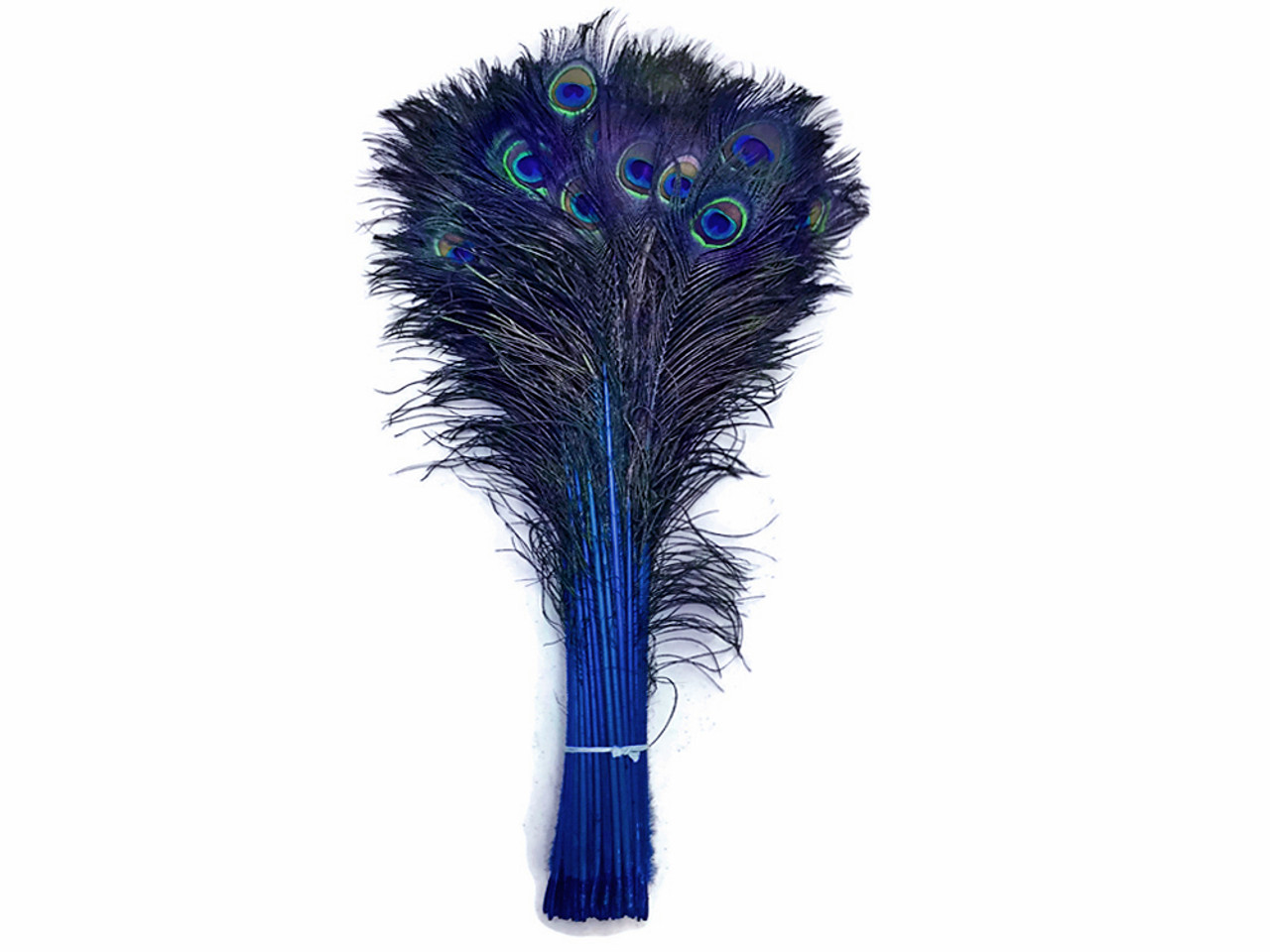 Peacock Feather Plumage-Blue [{WEDDING CENTERPIECES}] - Natural