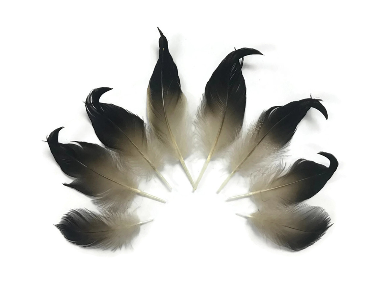 16 Pcs Mixed Black Feathers Gold Feathers Silver Feathers Goose