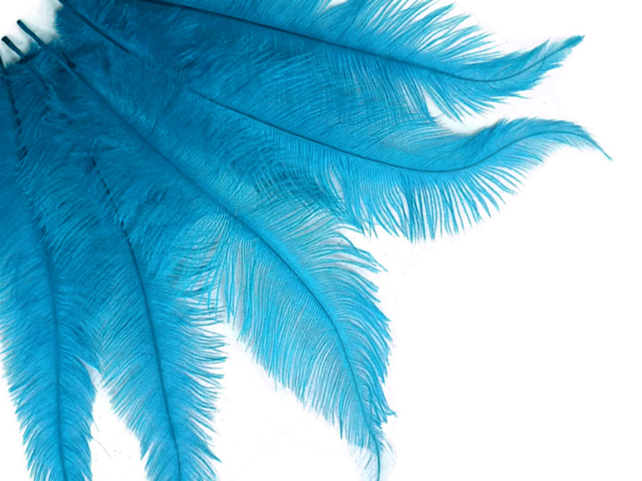 Mini Ostrich Feathers 1 Pack Turquoise Blue Ostrich Small 