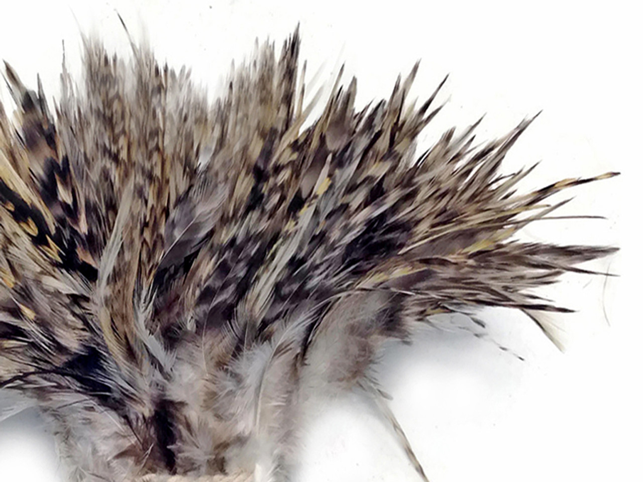 Gold Chinchilla Rooster Feathers, 8-10 Long Barred Rooster