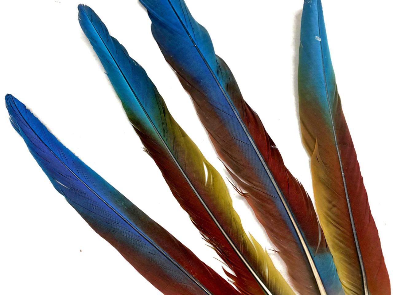 Bird Feathers Mixed Bag of Craft Material Fly Fishing