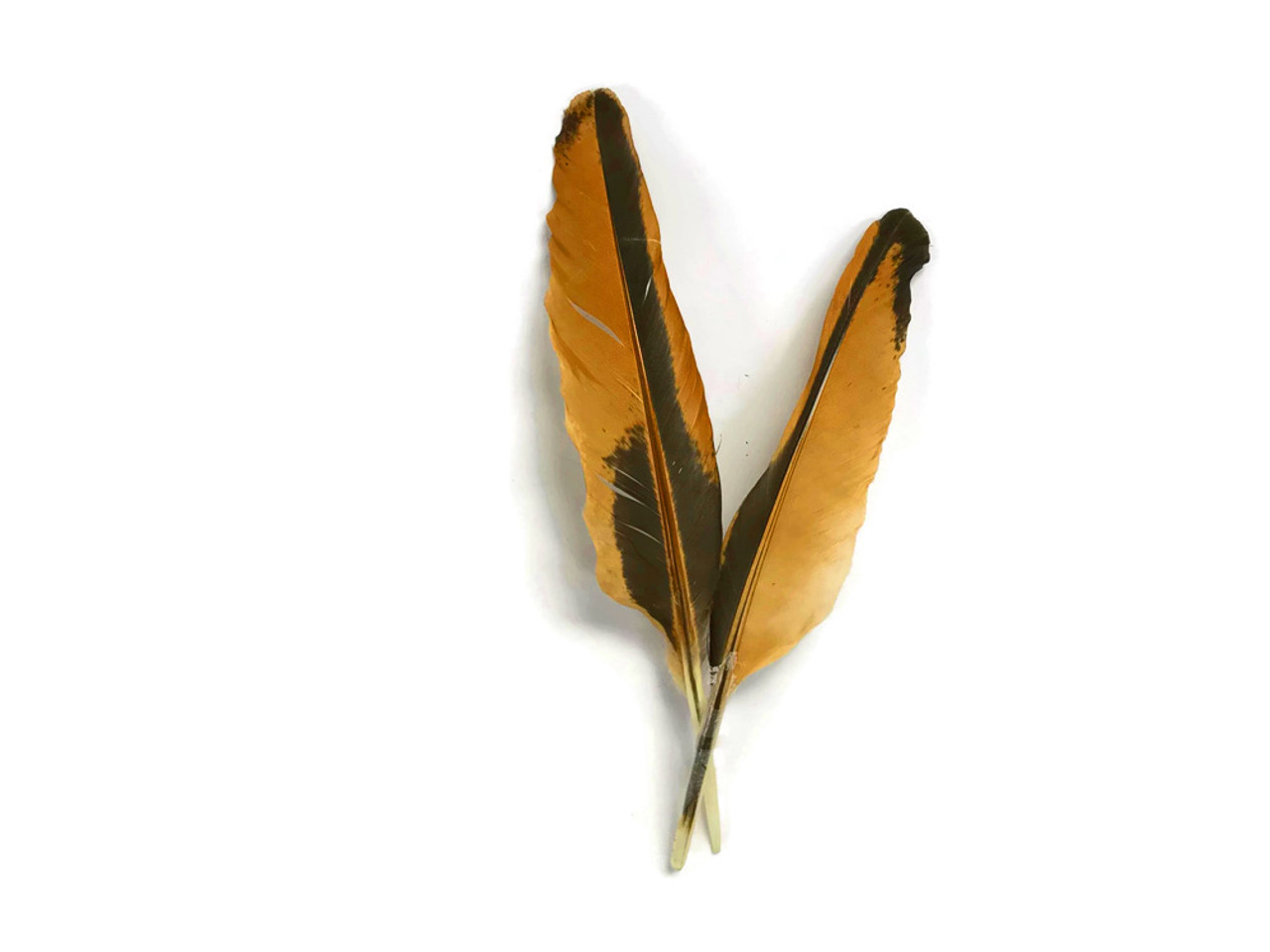 Brown Chicken Feathers, 10 Pieces, 3.5-4 Inches 