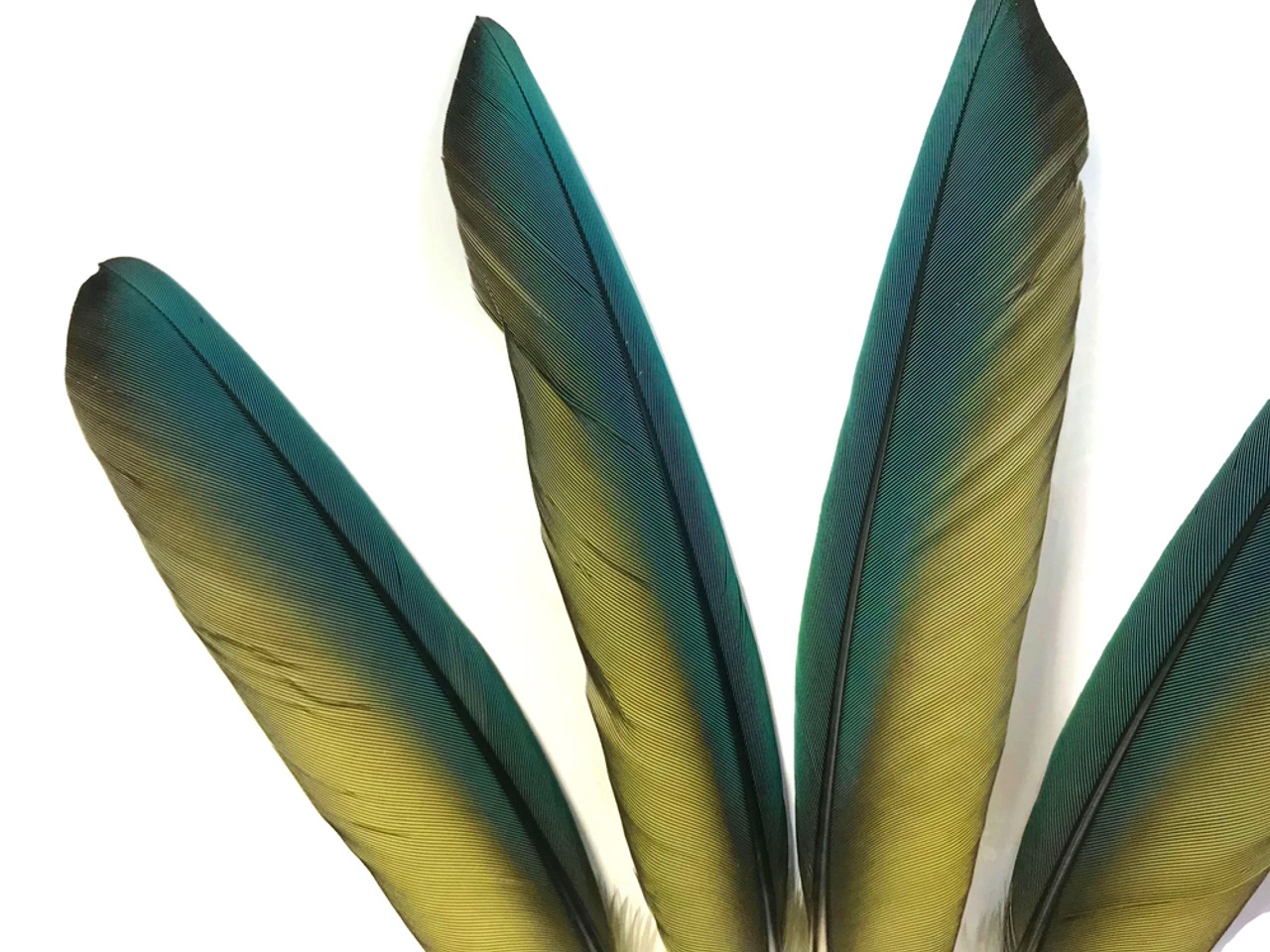 Very Vintage Unusual FEATHER BIRD w/Green Feathers