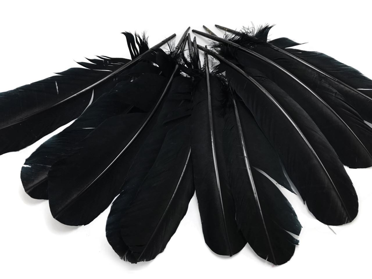 1/4 Lb - Green & Black Two Tone Turkey Rounds Tom Wing Secondary Quill  Feathers