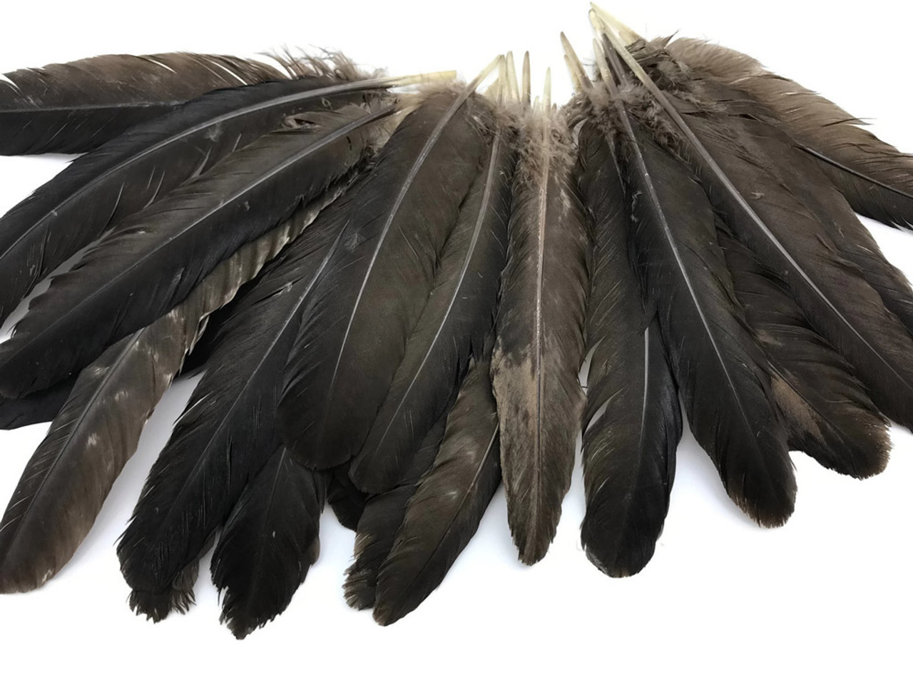 Turkey Feather-All Natural-Spiritual Feather – Regal Elements