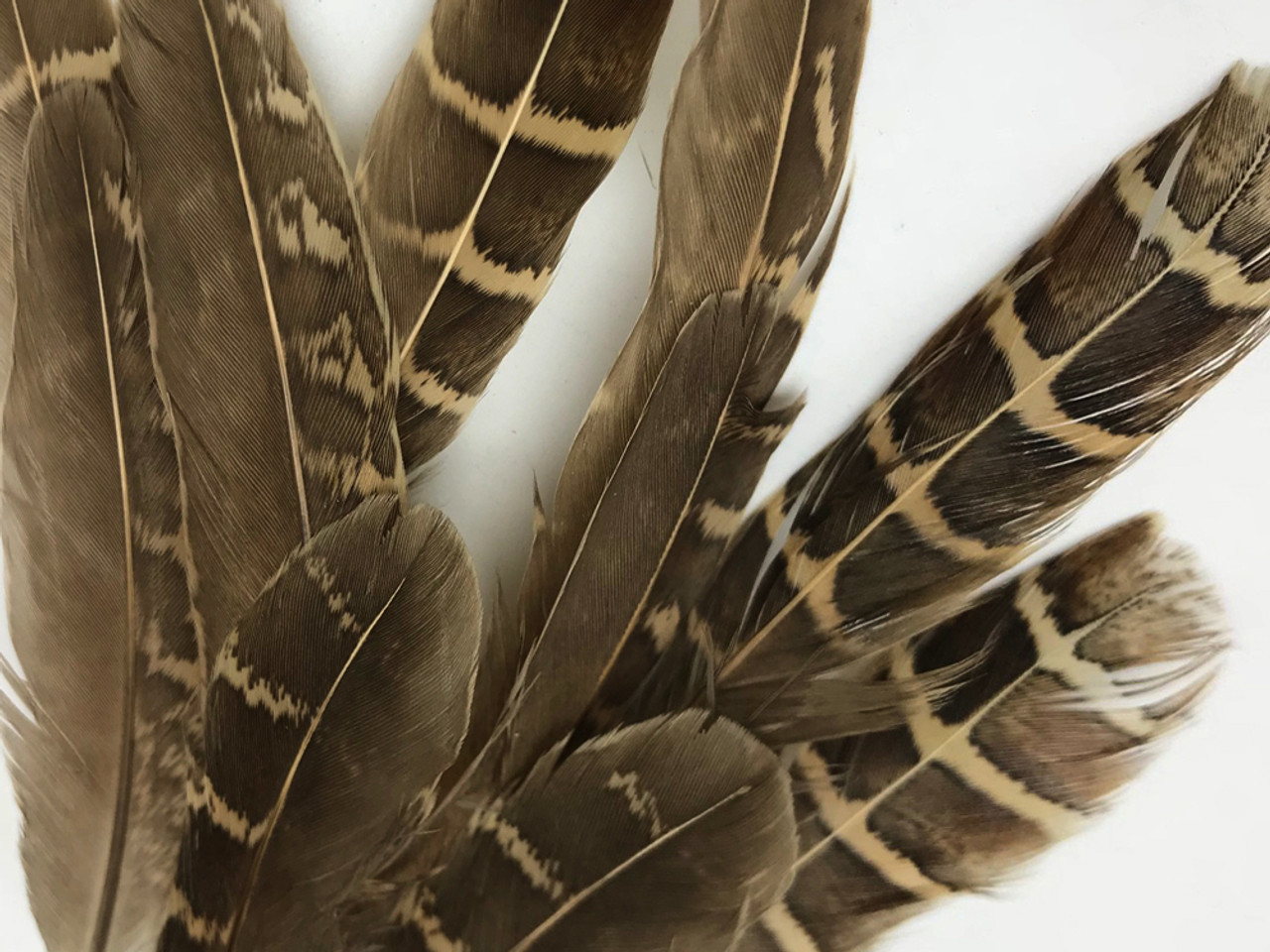 Brown Chicken Feathers, 10 Pieces, 3.5-4 Inches 