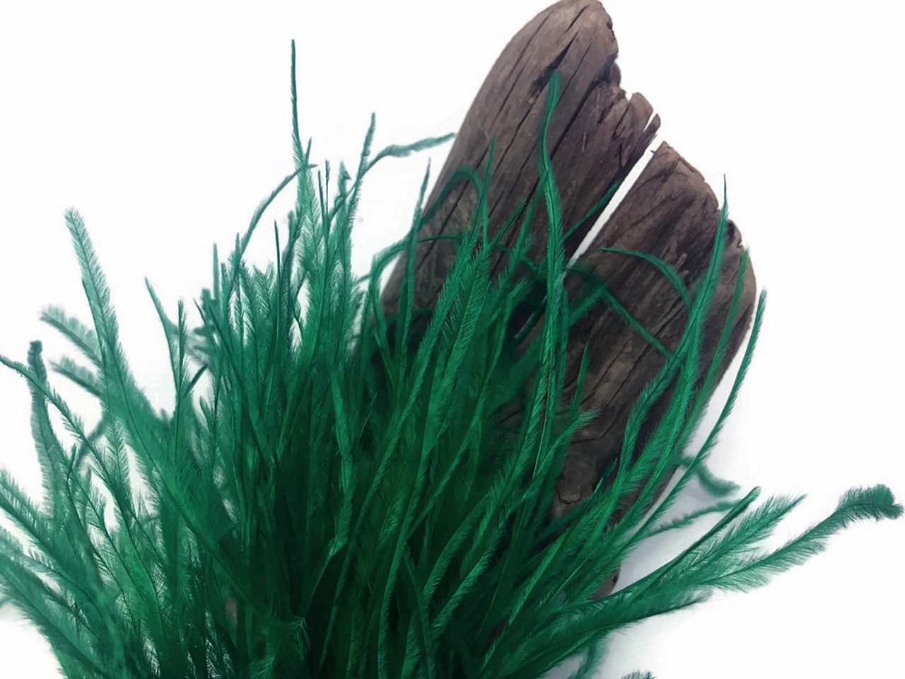 Hunter Green Ostrich Feather Trims FRINGE Bulk Cheap Discount Crafts Sew on  Ostrich Feathers