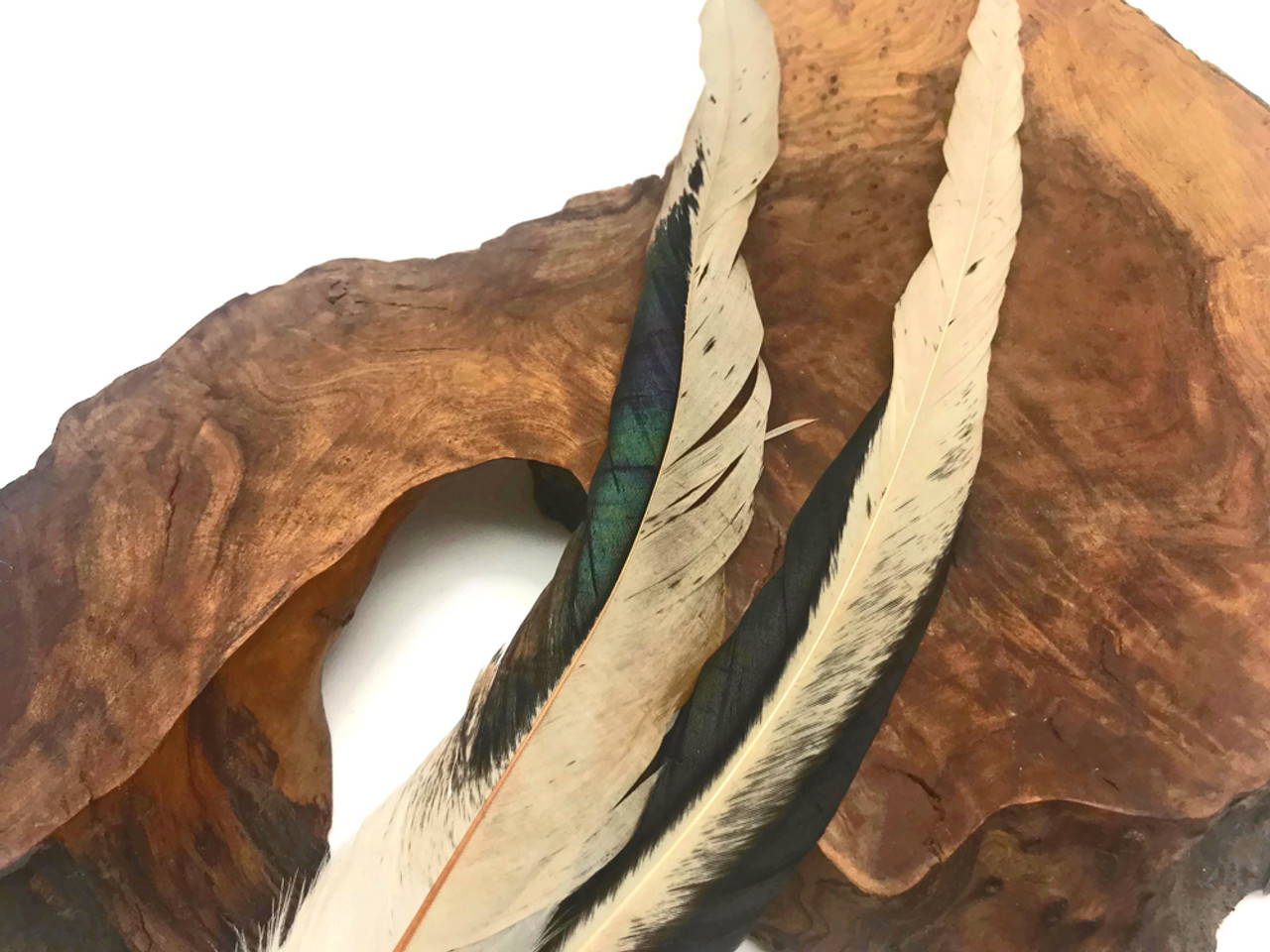 2.5 Inch Strip Natural Brown Strung Coque Tail