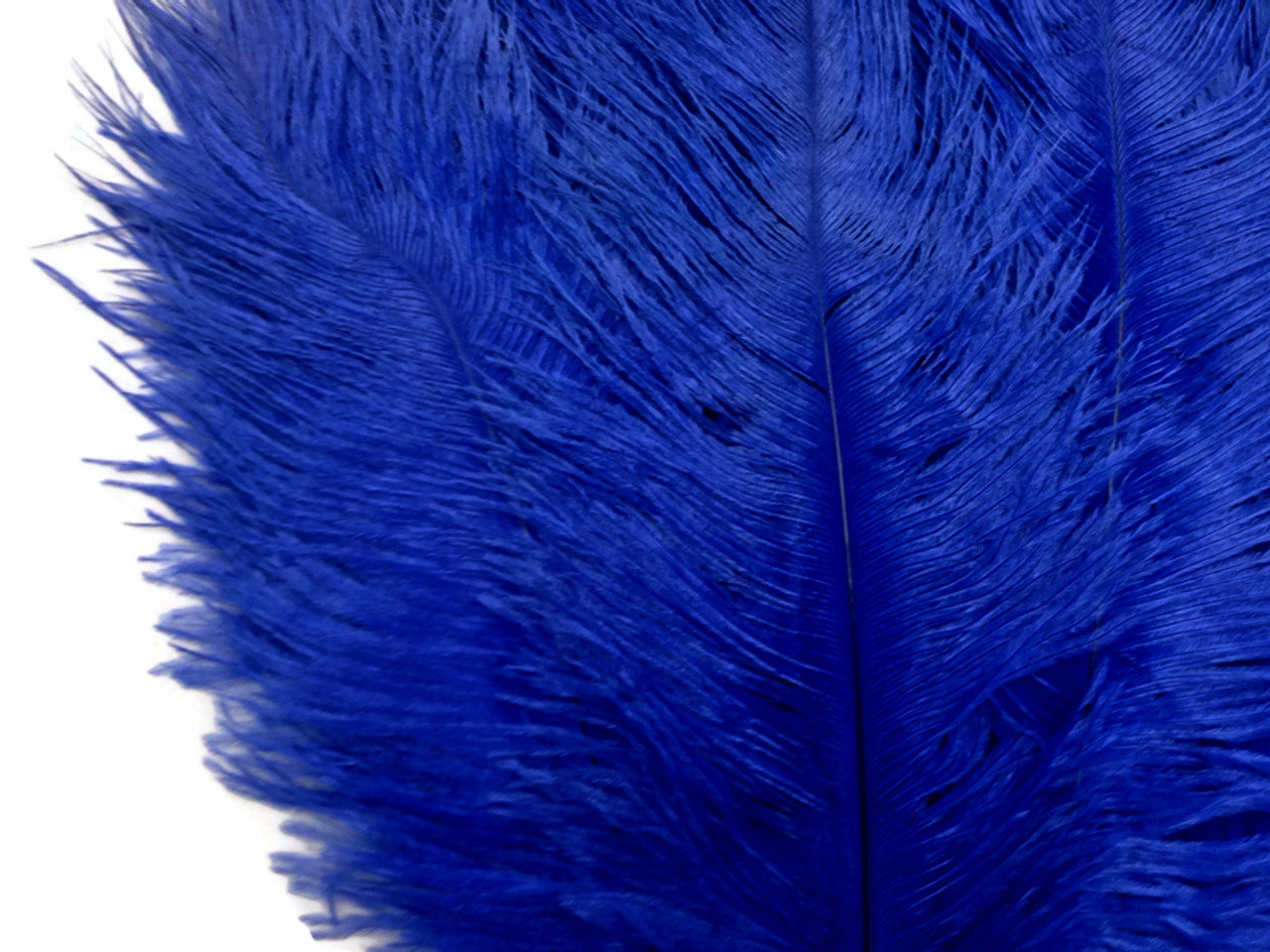 100 Pieces - 11-13 Royal Blue Ostrich Drabs Wholesale Body Feathers (Bulk)  Centerpiece Costume Craft Supply