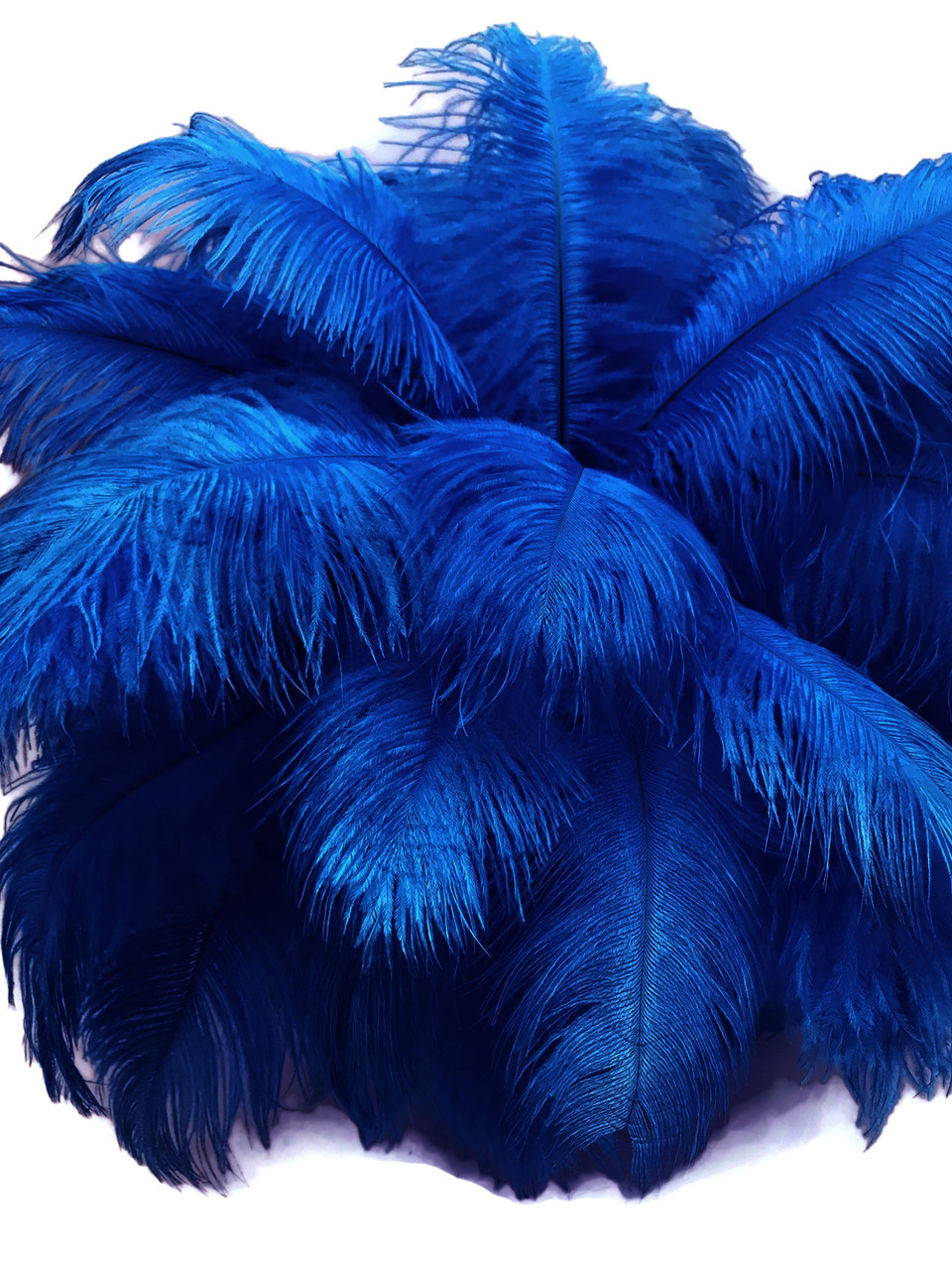 1/2 lb Royal Blue Ostrich Feathers