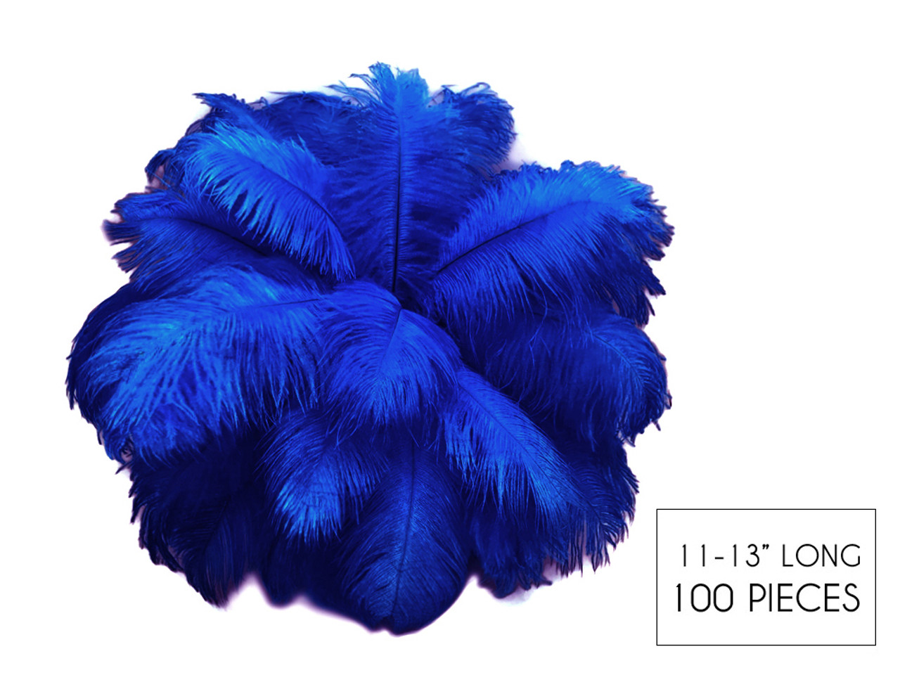 100 Pieces - 11-13 Royal Blue Ostrich Drabs Wholesale Body Feathers (Bulk) Centerpiece Costume Craft Supply | Moonlight Feather