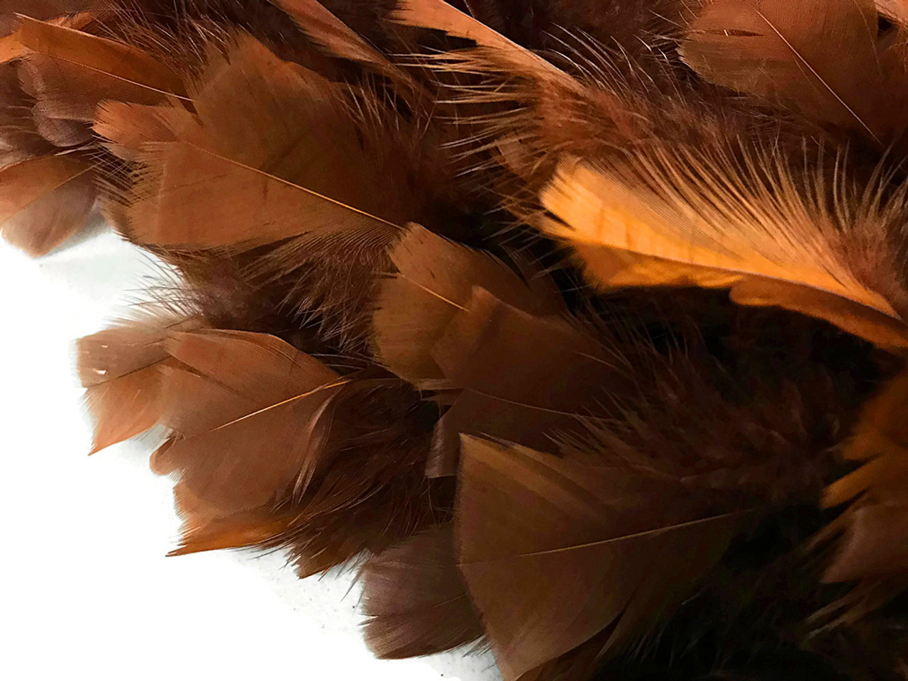 Large Feather Boas, 2 Yards Mardi Gras Multicolor Turkey Flat