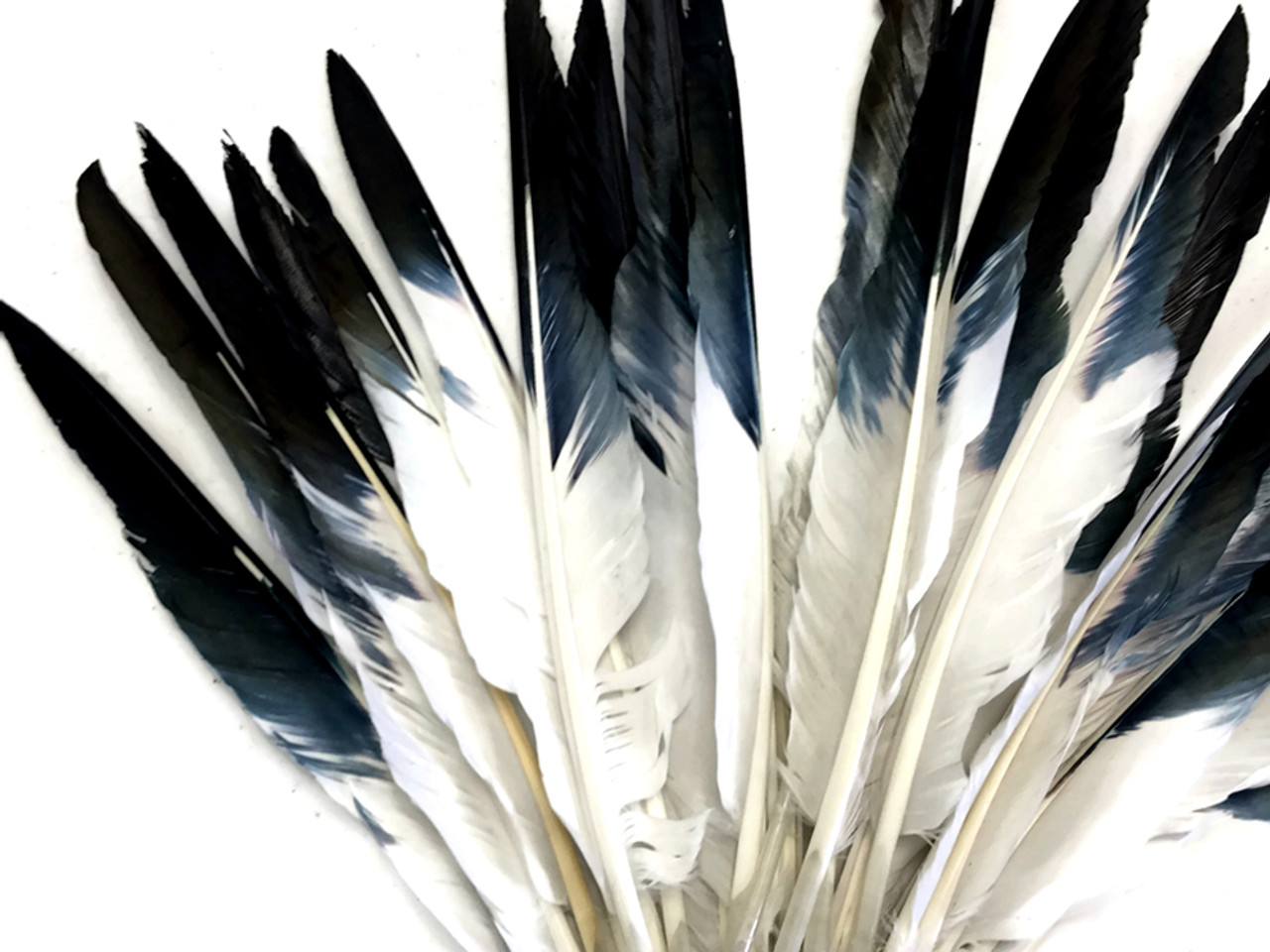 10 Pieces Natural White Goose Feathers
