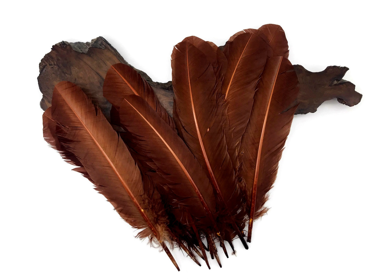 1 lb. - Brown Turkey Tom Rounds Secondary Wing Quill Wholesale Feathers (Bulk)