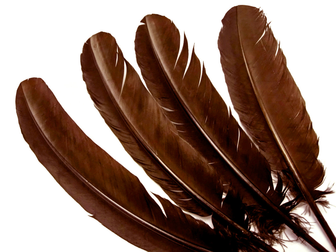 1 lb. - Brown Turkey Tom Rounds Secondary Wing Quill Wholesale Feathers (Bulk)