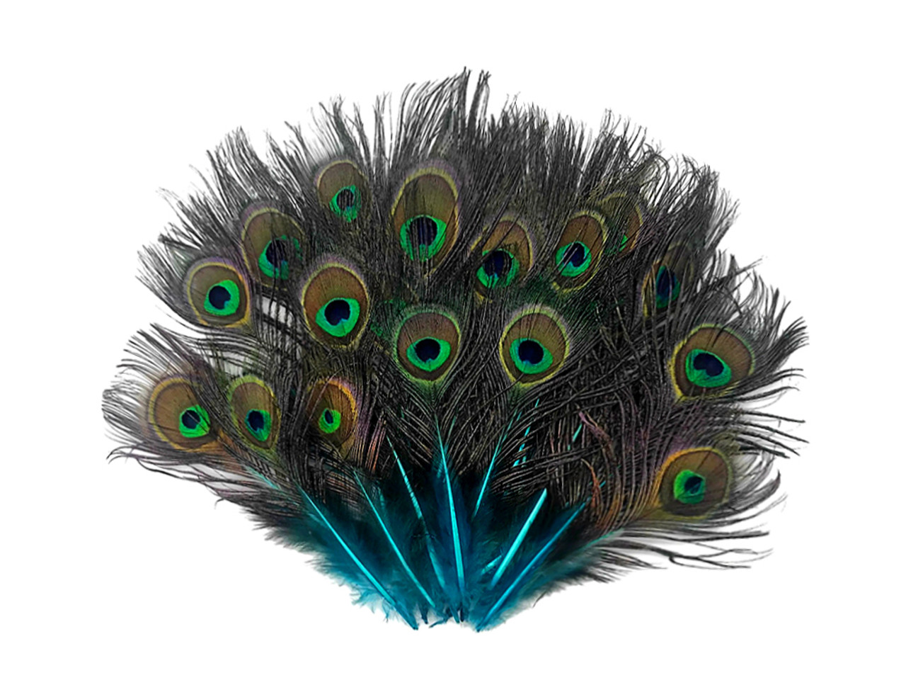 200 Pieces 10-12 Natural Peacock Tail Feathers