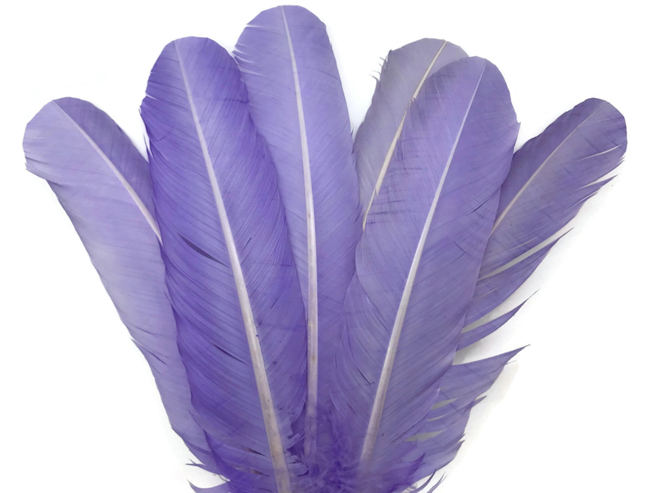 1/4 lb Purple Turkey Round Wing Quill