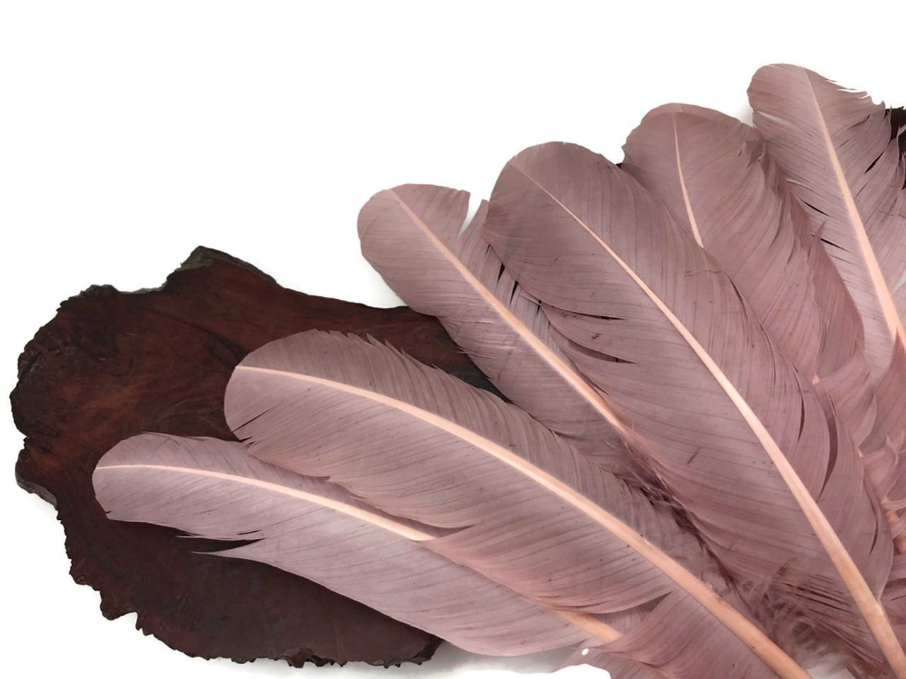 1/4 lb. - Light Brown Turkey Tom Rounds Secondary Wing Quill Wholesale Feathers (Bulk)